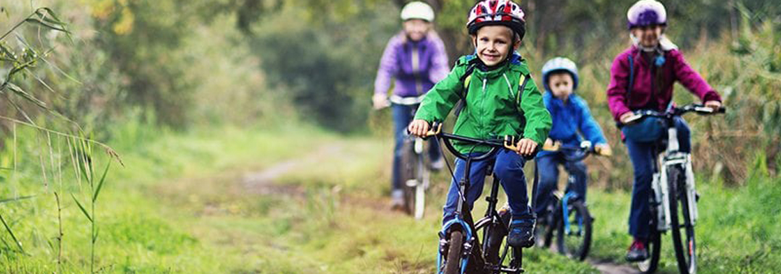 Gastroenterology and Nutrition